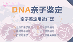 河南司法DNA鉴定详细流程及材料,河南司法亲子鉴定预约办理 河南司法DNA鉴定详细流程及材料,河南司法亲子鉴定预约办理