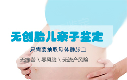 河南怀孕几个月如何做胎儿亲子鉴定，河南无创产前亲子鉴定费用是多少