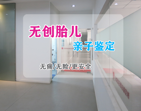 河南怀孕几个月如何做胎儿亲子鉴定,河南无创产前亲子鉴定费用是多少