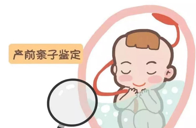 河南胎儿如何做亲子鉴定,河南无创产前亲子鉴定收费多少钱