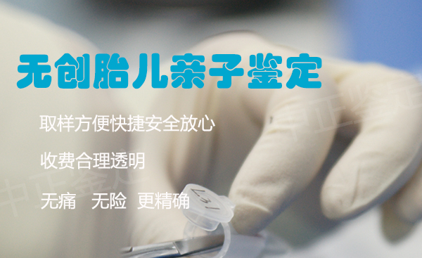 河南怀孕几个月如何做胎儿亲子鉴定,河南无创产前亲子鉴定费用是多少