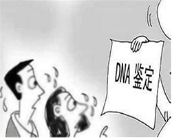 河南入学DNA亲子鉴定如何办理,河南升学亲子鉴定中心在什么地方 河南入学DNA亲子鉴定如何办理,河南升学亲子鉴定中心在什么地方