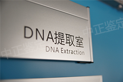 河南怀孕5个月能做产前亲子鉴定吗